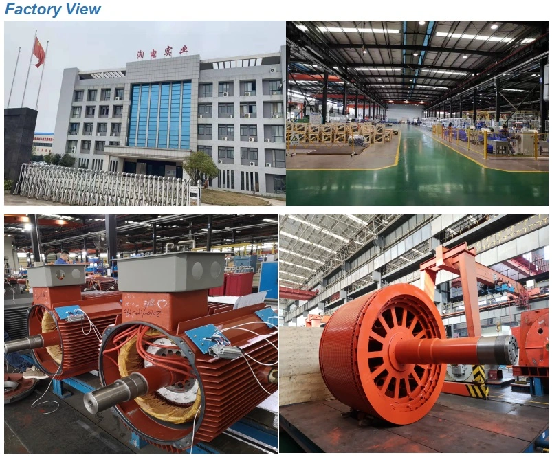 DC Motor for Steel Rolling Mill, Cement Mill, Paper Machine