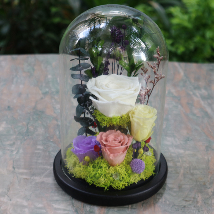 Wholesale Preserved Flower Three Beautiful Roses in Glass Dome for Home Decoration for Lover