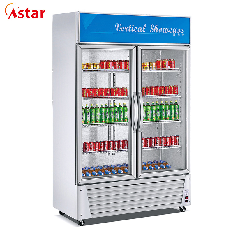 220V Single Door Double Hollow Glass Refrigerator for Business