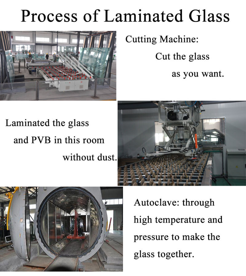 Tempered Triplex Laminated Glass for Balustrade Glass