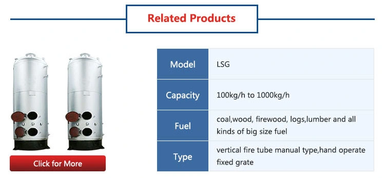 High Efficiency Dzl Coal Wood Fired Chain Grate Steam Boiler