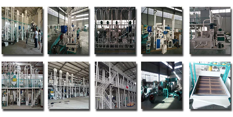 ISO Certified Auto Rice Mill/Automatic Rice Mill Machine/Rice Milling Equipment