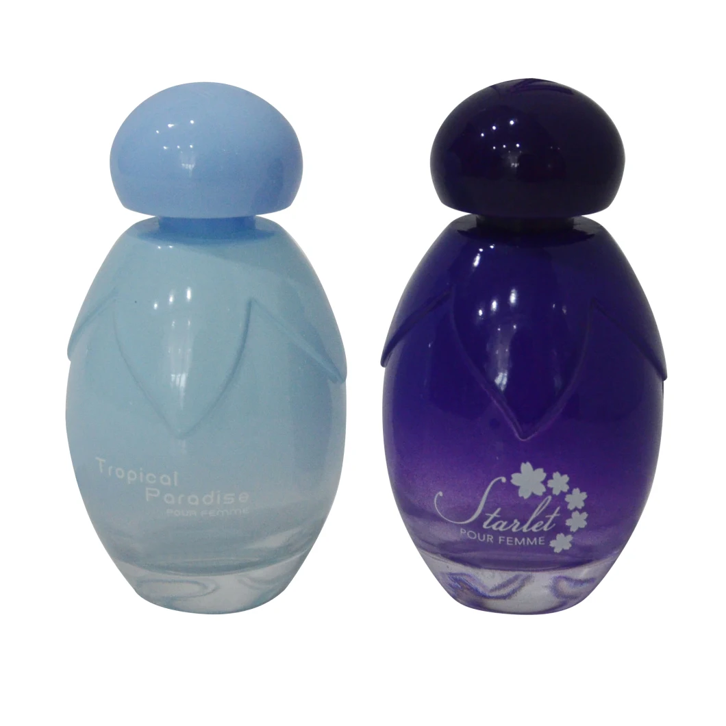 High Quality Color Coating Glass Perfume Bottle by China Manufacturer