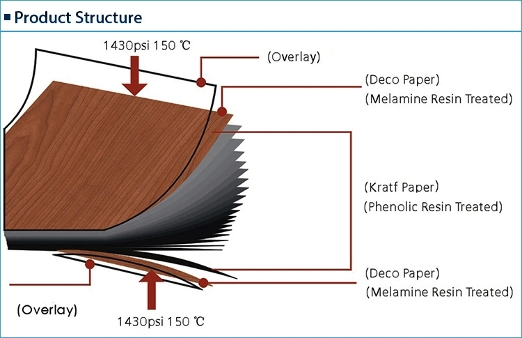 Chemical Resistant Phenolic Resin Kraft Paper HPL Compact Laminate Sheet