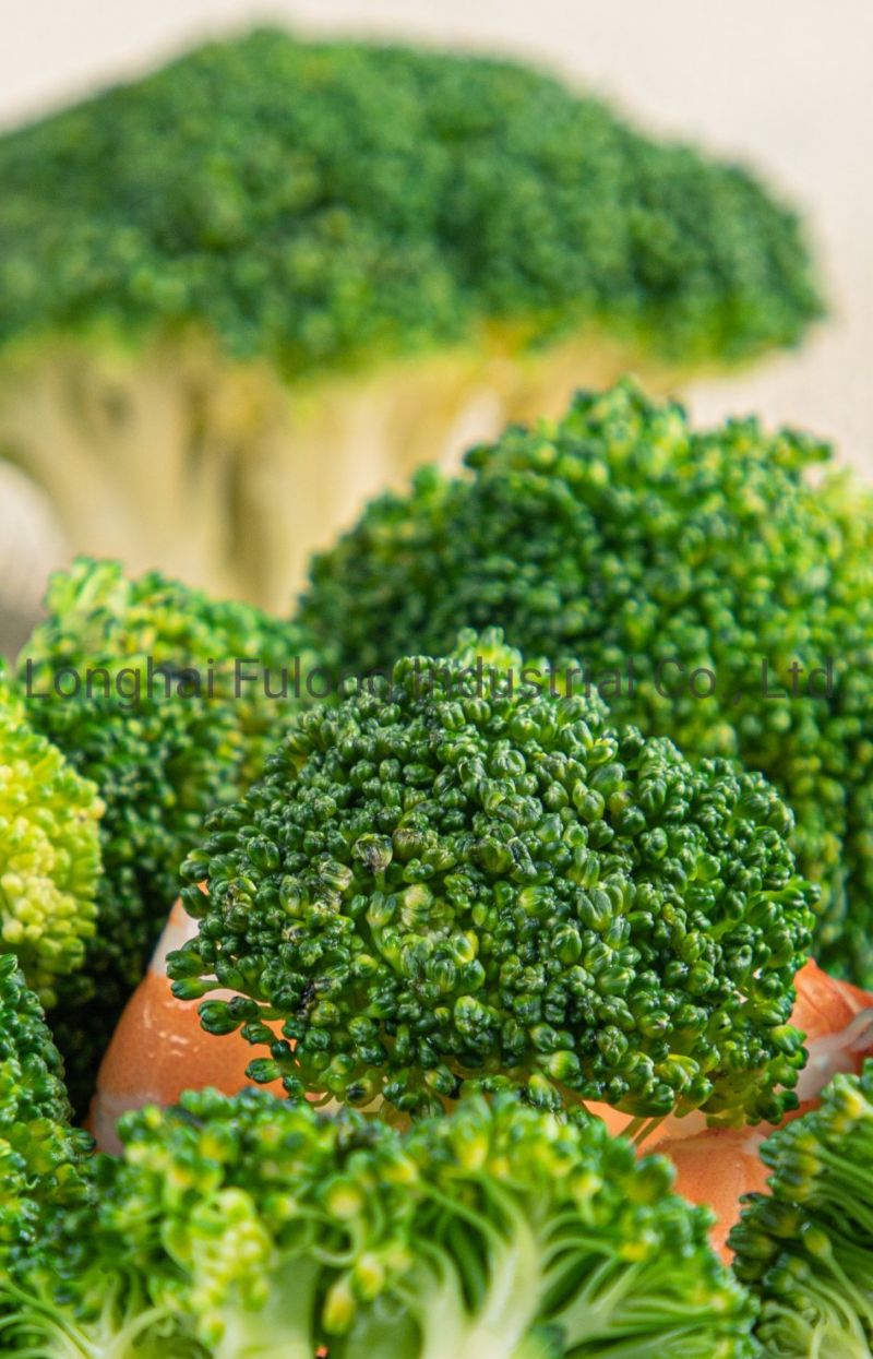 2020 Good Sales Frozen Broccoli IQF Broccoli Frozen Vegetables