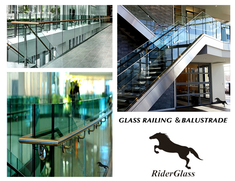 Rider Shower Doors Glass (Patterned Glass/Tempered Glass/Acid-etched Glass/Laminated Glass)