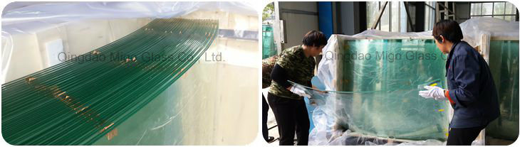 Bent Toughened Laminated Glass for Building Glass Dome