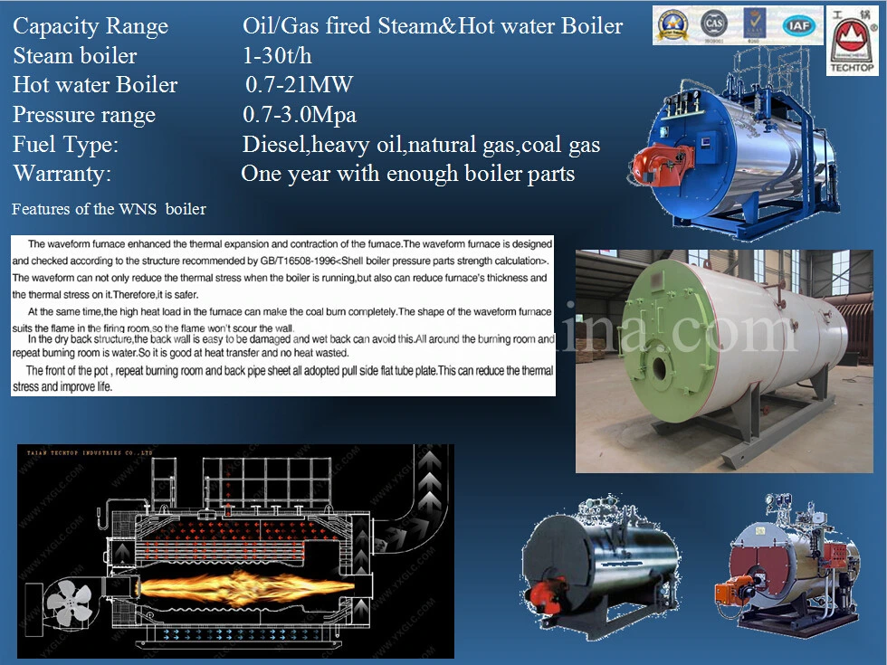 Printing Industries Oil Fired Gas Fired Steam Boiler