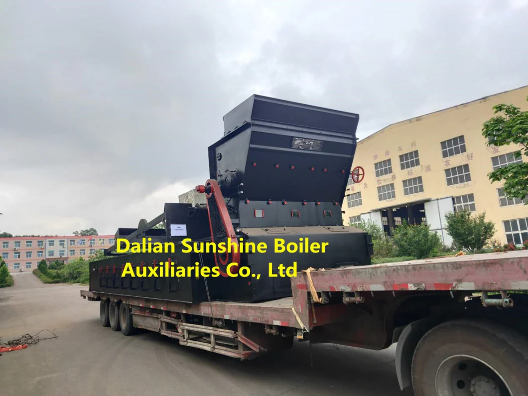 Mexico Project 40t/H Coal Fired Steam Boiler Chain Grate