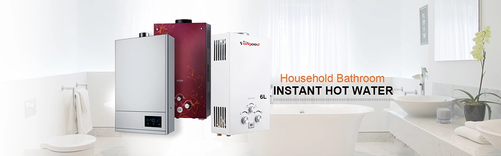 Domestic Appliance Wall Boiler Instant Geyser Spares Gas Water Heater Parts