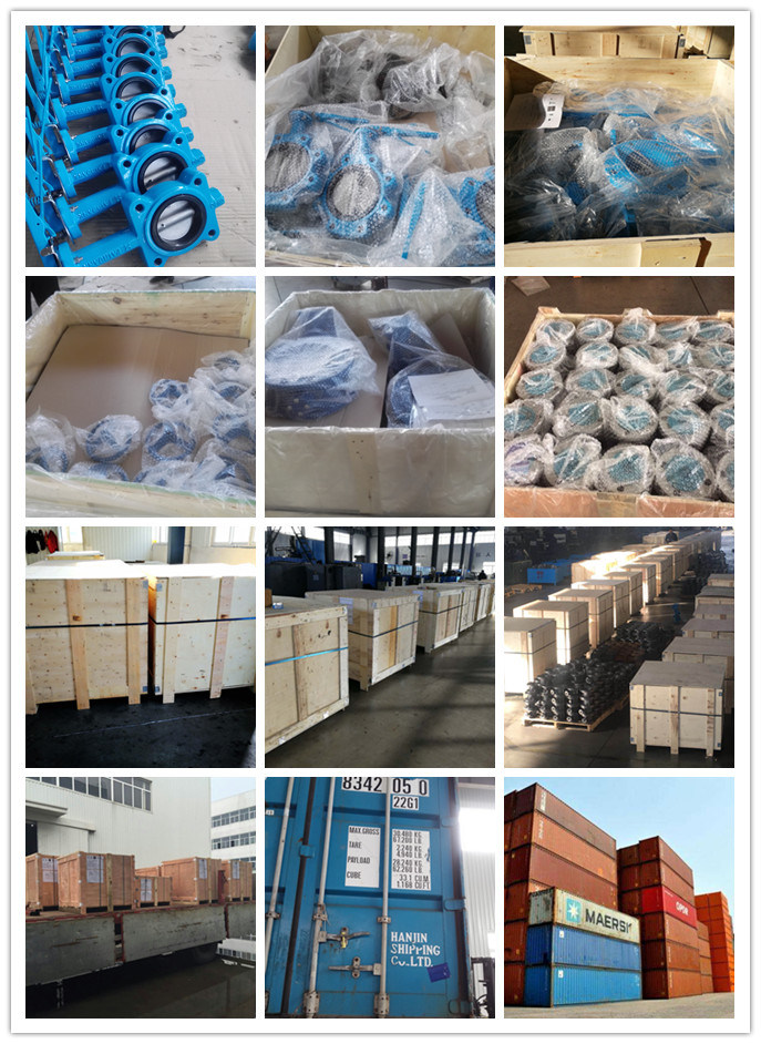 Ductile Iron Manual Rubber Lining Wafer Butterfly Valve