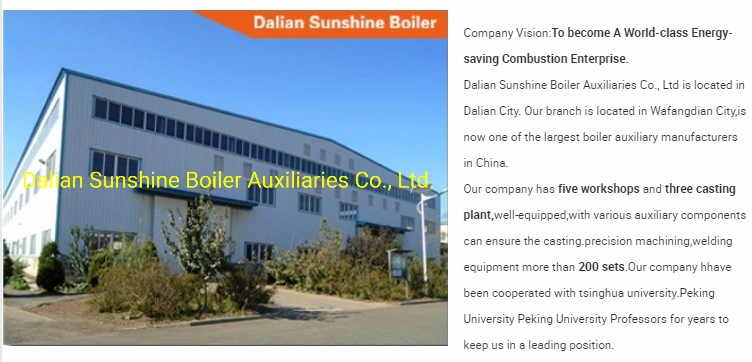 Travelling Belt Chain Grate Biomass Steam Boiler Automatic Chain Biomass Steam Boiler