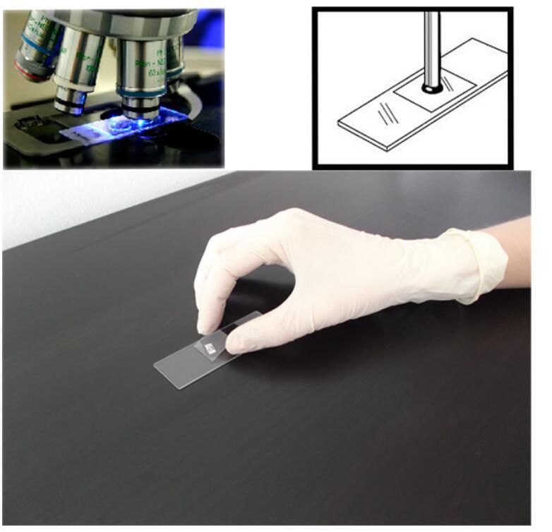 High Quality Experiment or Teaching Use Pre-Cleaned Blank Microscope Slides Coverslips Cover Glass