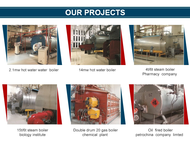 Hot Sale Double-Drum Water Tube Industrial Coal Fired Boiler