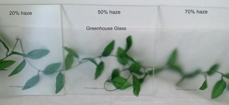 3mm/3.2mm/4mm Greenhouse Safety Diffuse Glass with AR Coating