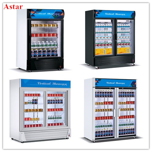 220V Single Door Double Hollow Glass Refrigerator for Business