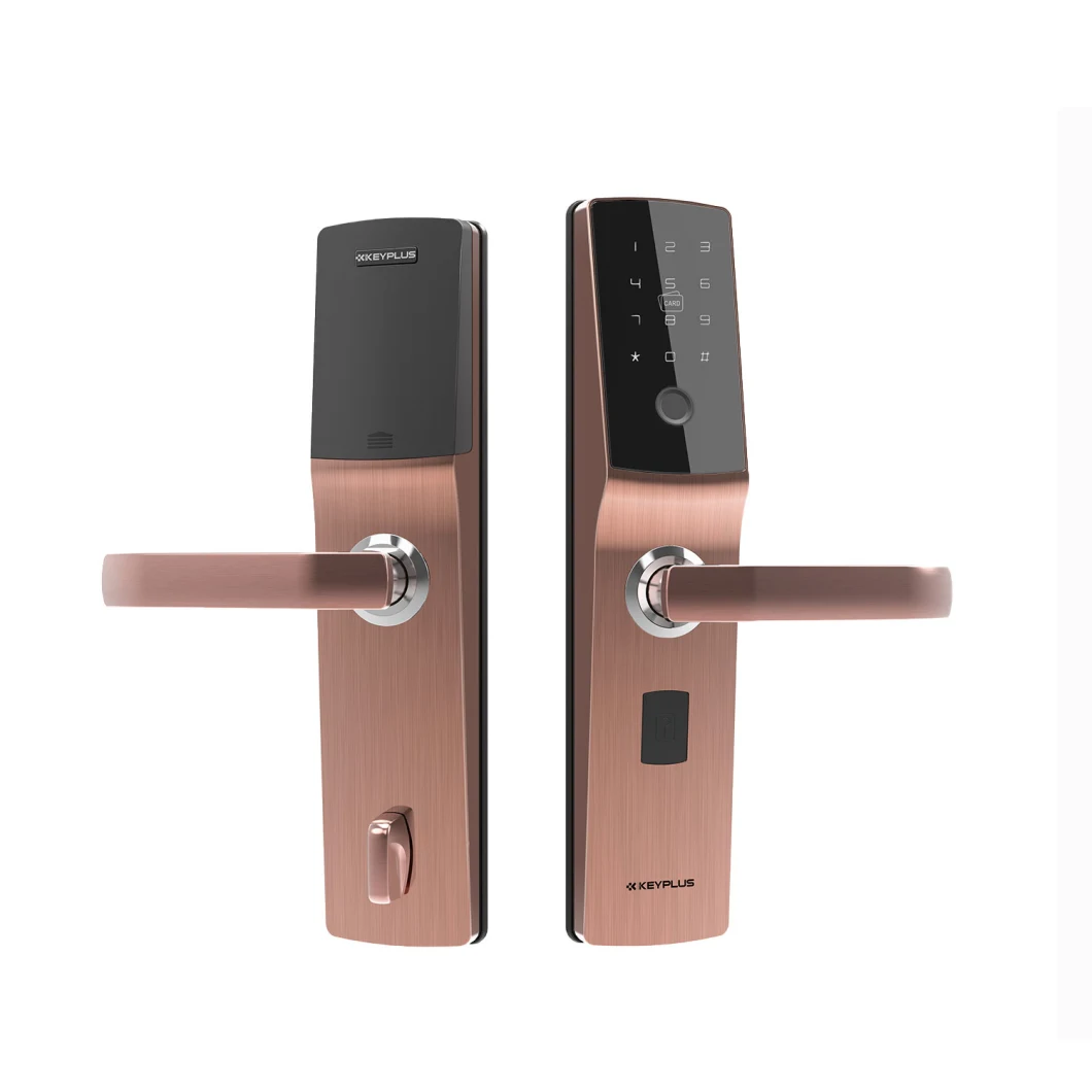 Warranty Guarantee High Quality Fingerprint Door Lock with Fireproof Anti-Corrosion Cylinder Anti-Drilling Mortise Lock
