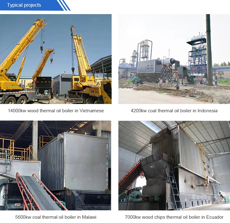 600, 000 to 6, 000, 000 Kcal Coal Fired Hot Oil Boiler, Thermal Oil Boiler