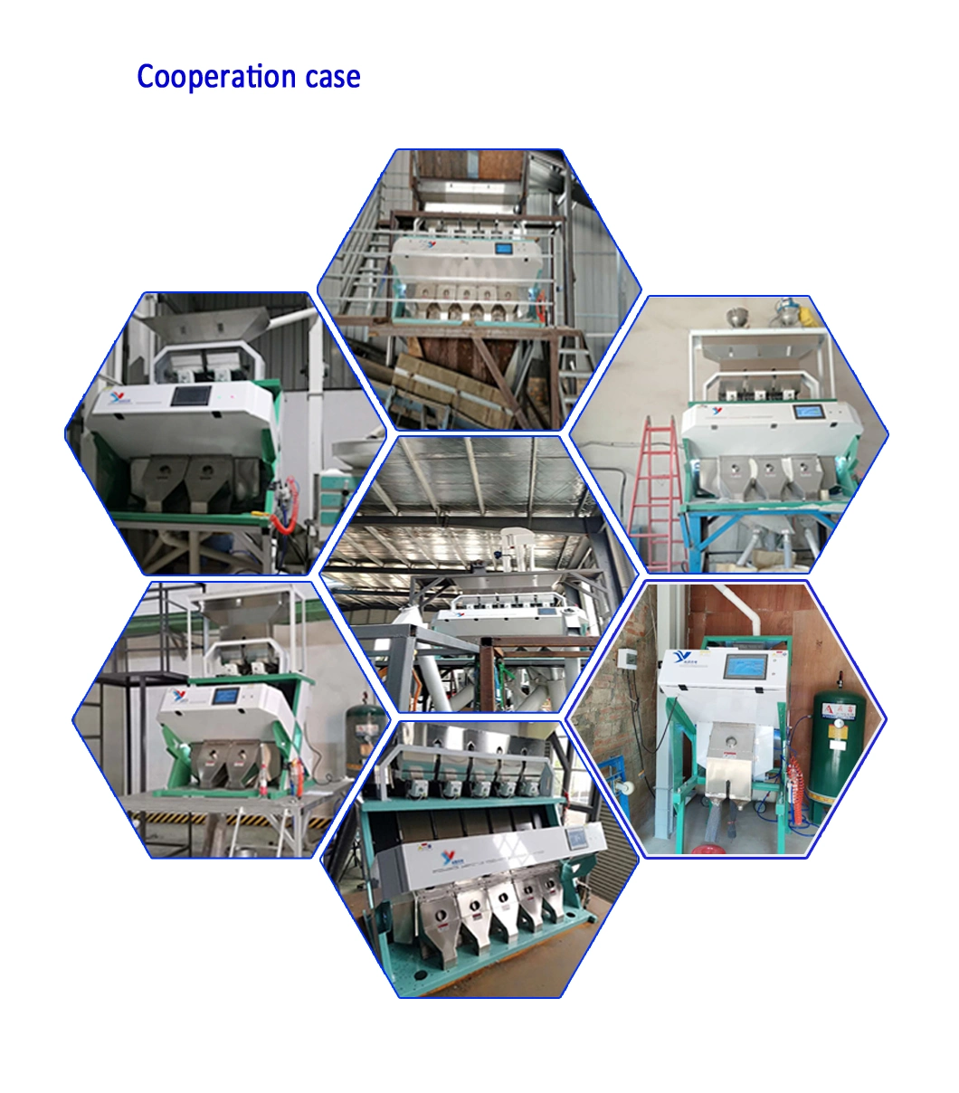 All Kinds of Tea Color Sorting Machine for Shape Selection and Color Selection