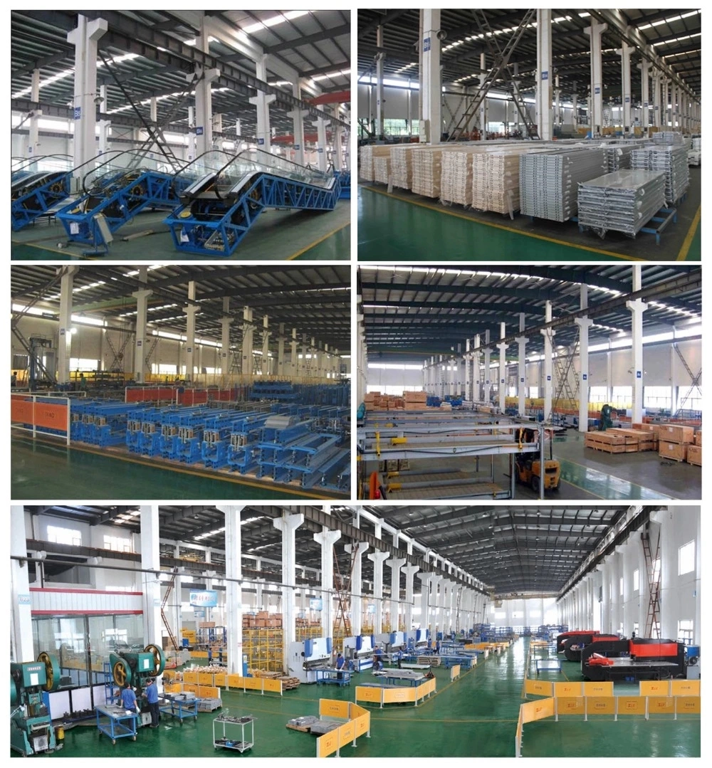 Hot Sale Elevator Glass Lop with Local Installation Team and Factory Price