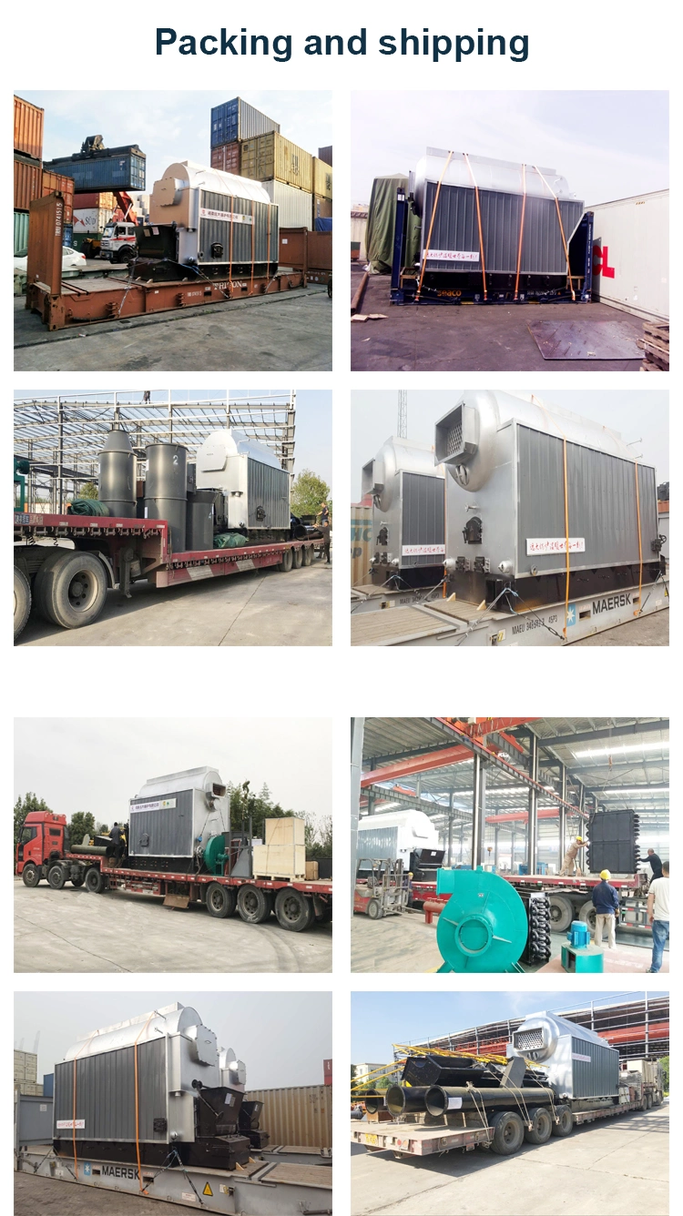 Dzl8-1.25-Aii 8 Ton Gas Diesel Fired Steam Boiler for Garment Factory China