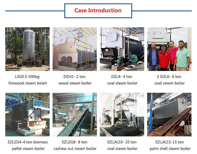 Dzl4-1.25-Aii 4 Ton 1.25MPa Coal Powered Steam Boiler