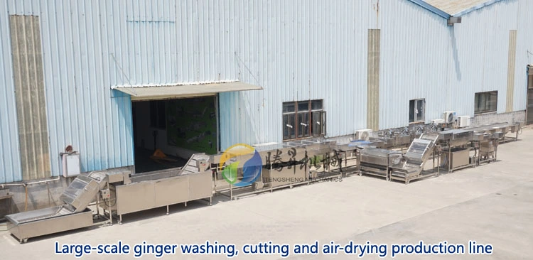 Food Processing Machine Industrial Leaf Vegetable Washer Washing Slicing Dewatering Processing Line Washing Machine (TS-X680)