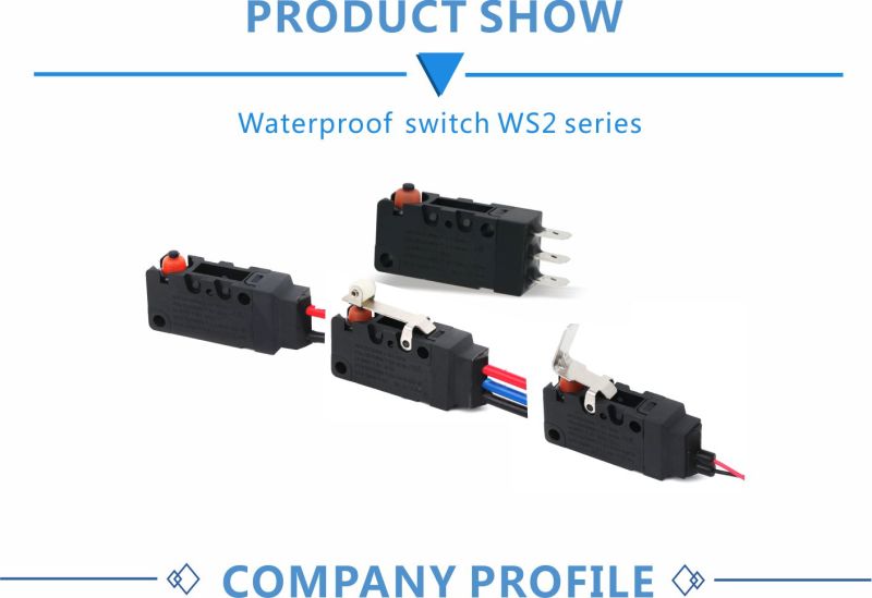 Cover Made by Whole Injection Molding IP67 Waterproof Switch