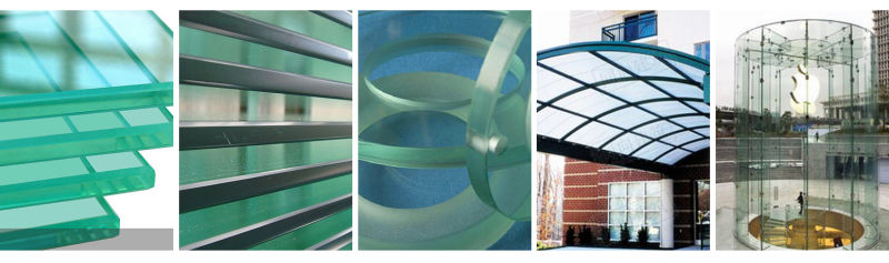 Tinted Float Glass/Reflective Glass/Tempered Glass/Laminated Glass/Embossed Glass