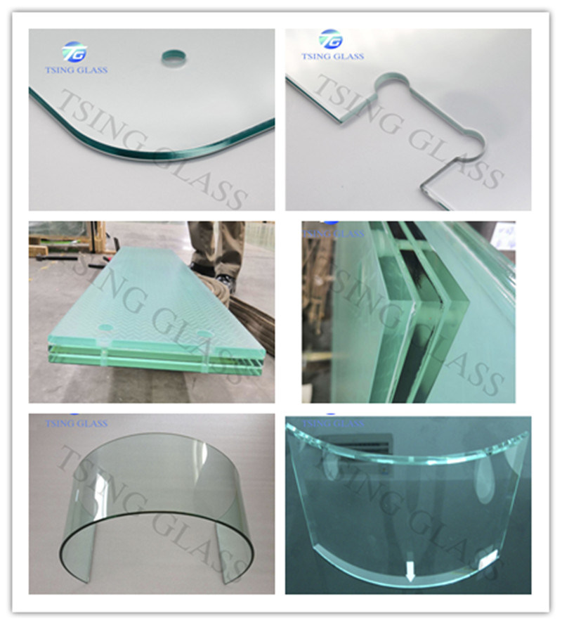 Curved Glass Hot Bending Glass for Food Cabinet/Showcase for Supermarket