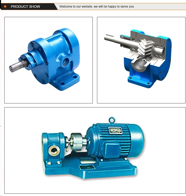 2cy Horizontal Explosion Proof Gear Oil Pump for Gasoline