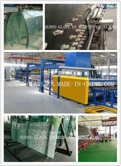 Laminated Glass / Tempered Laminated Glass / Tinted Laminated Glass