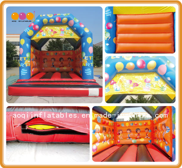 Inflatable Birthday Party Bouncer for Kids (AQ290-5)