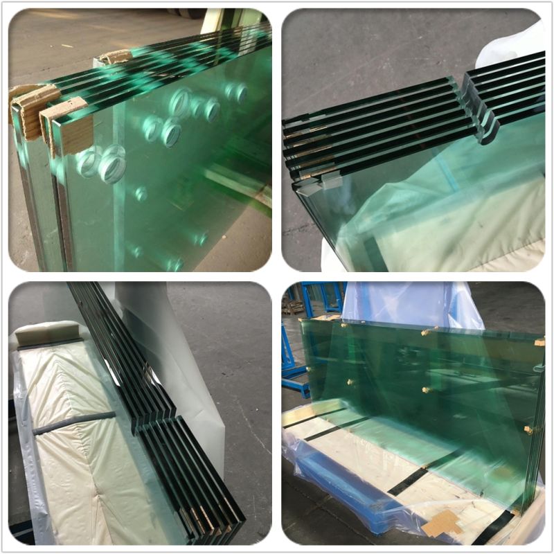 Dark Black Sector Tempered/Toughened Safety Glass 8mm 10mm