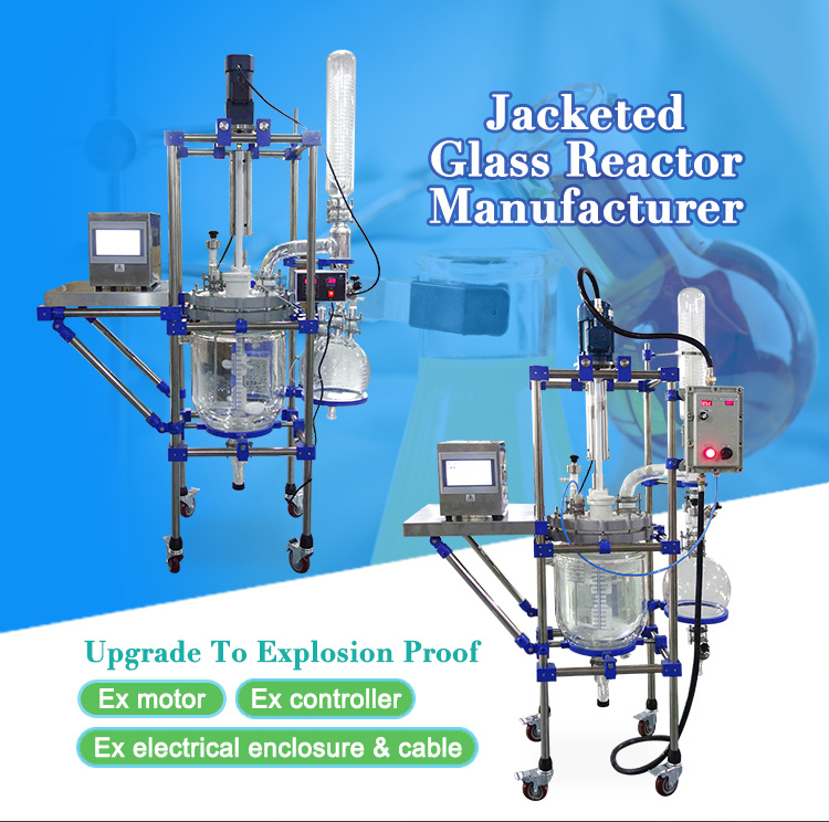 20L Glass Material Ultrasonic Reactor Chemical with Transducer