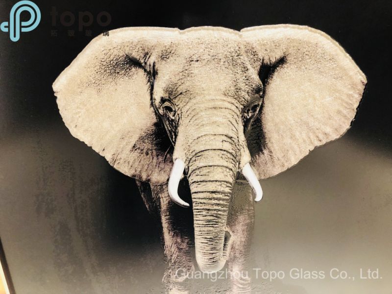 3D Lifelike Elephant Glass Painting on Low Iron Glass (MR-YB6-2038)