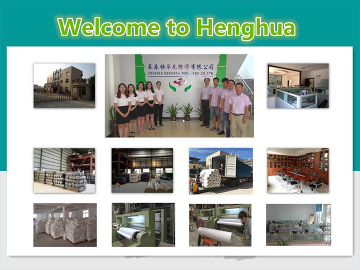 Disposable Hydrophobic Bed Sheet Raw Material PP Non-Woven Fabric