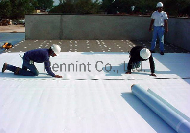 Cheap Price Tpo Waterproof Sheet for Flat Roof