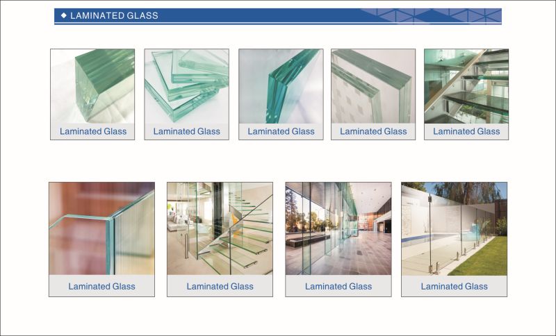 6mm/8mm/10mm/12mm Clear/Bronze/Blue/Green/Grey/Tinted Tempered/Toughened Balustrade Glass