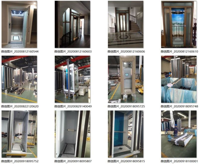 Glass Passenger Panoramic Lift Observation Elevator Sightseeing Elevator Lifts