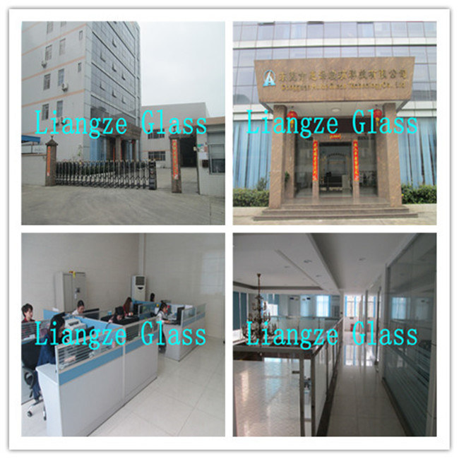 Silk Printed Glass/Laminated Glass/Craft Glass/Tempered Glass/Safety Glass for Decoration