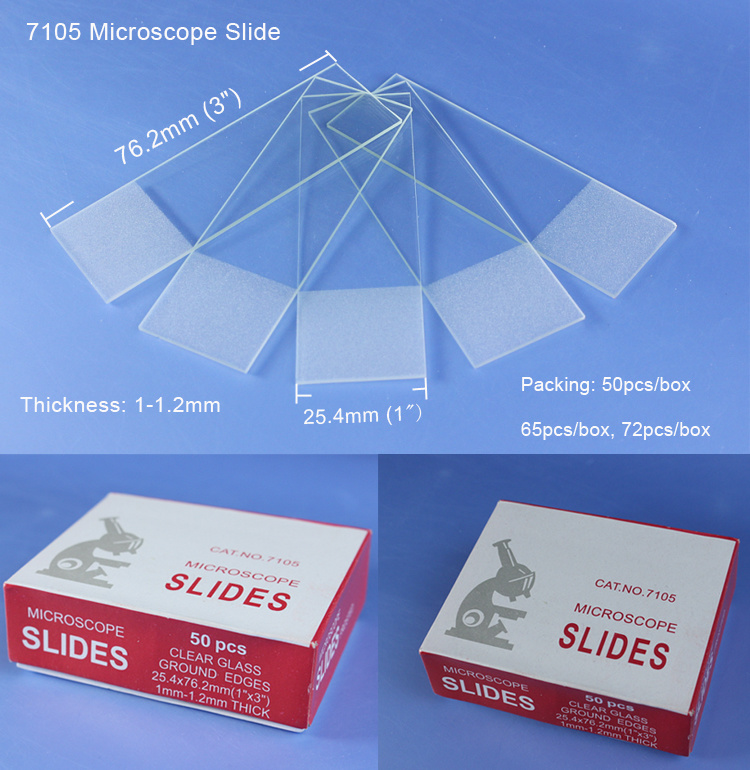 Disposable Manufacturer Microscope Prepared Slide Preparation Frosted Microscope Glass Slide Box