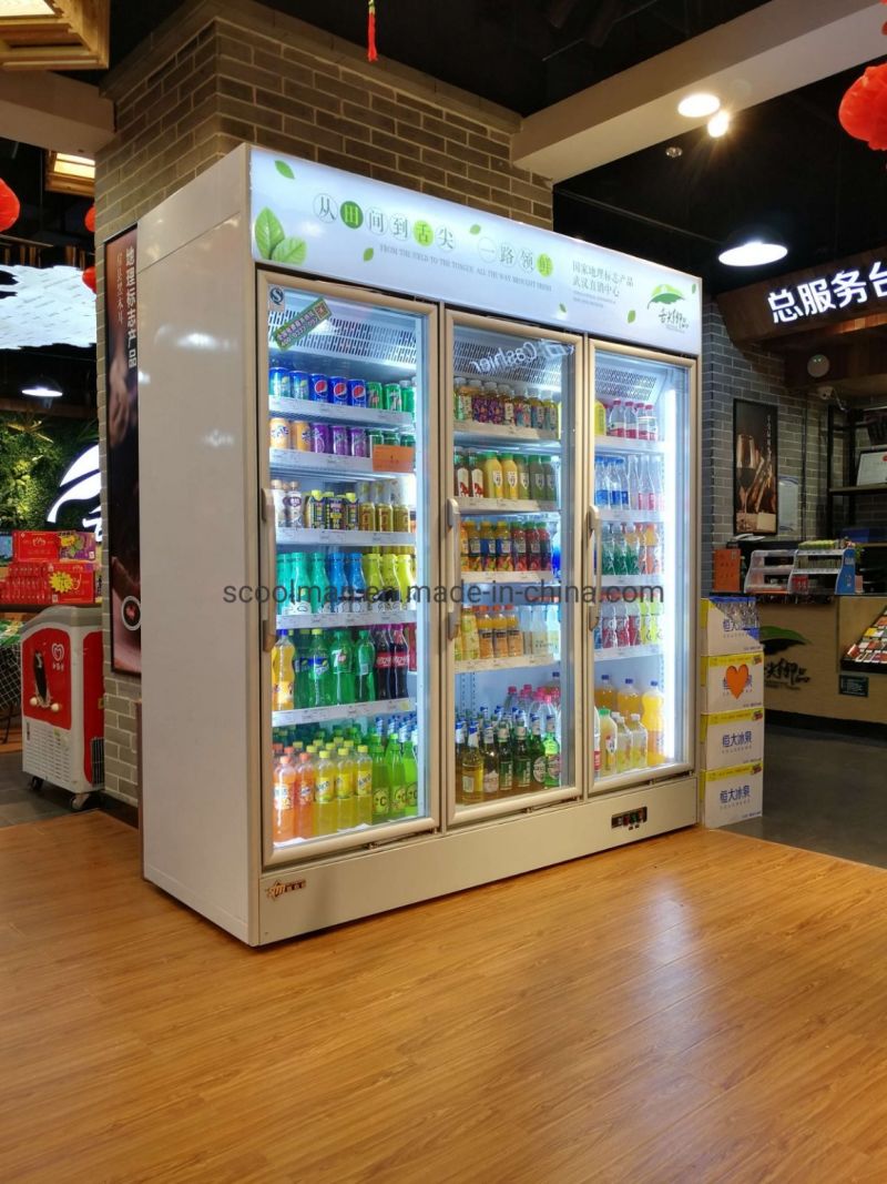 Vertical Display Front Glass Door Ice Cream Refrigerator for Shop