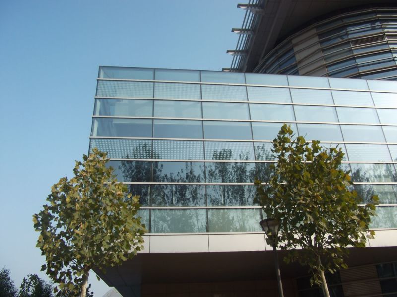 Large Panel Big Panel Long Panel Tempered Glass for Building Facade