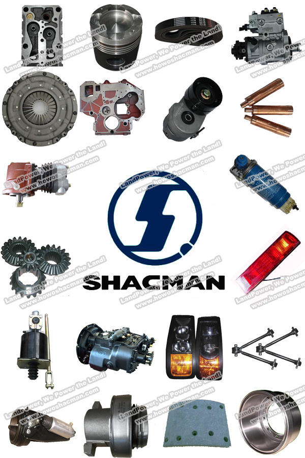 Original Shacman Glass Lifter for Shacman F3000/ X3000 Truck Parts