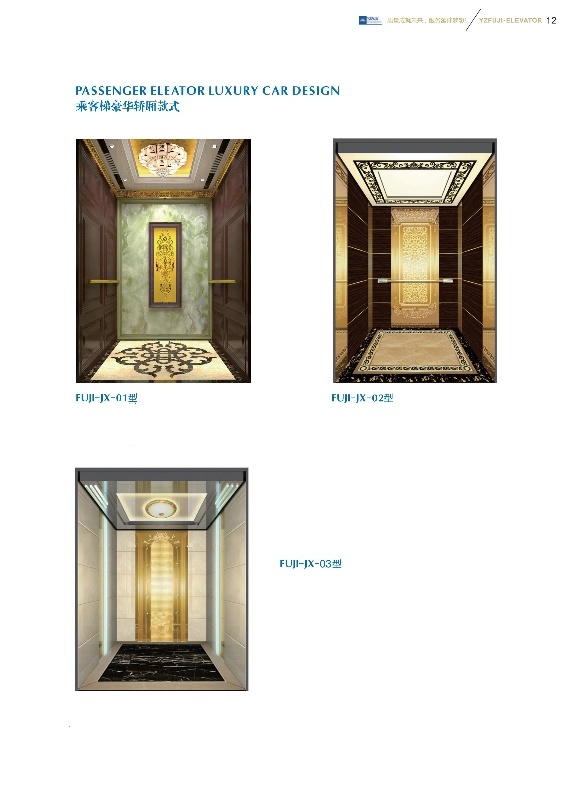 Asia FUJI Lucury Passenger Elevator Lift with Glass Mirror Price