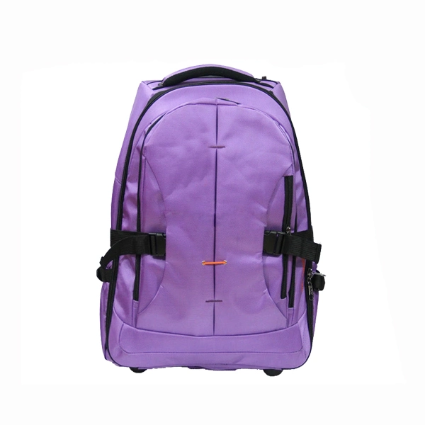 Trolley Backpack with Laptop Compartment/Business Laptop Backpack with Wheel Sh-15122168