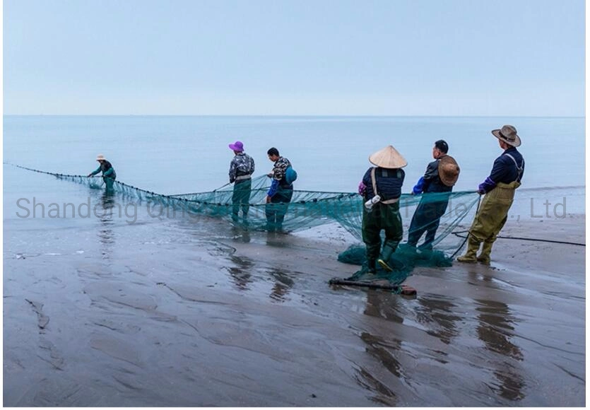 Professional Production Best Fishing Net/Fishing Tool/Nylon Net Trawl Fishing Net