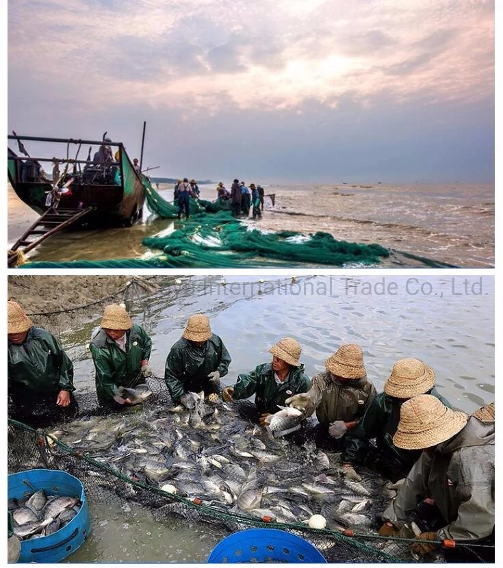 Made in China Best Fishing Net/Fishing Tool/Nylon Net Trawl Fishing Net
