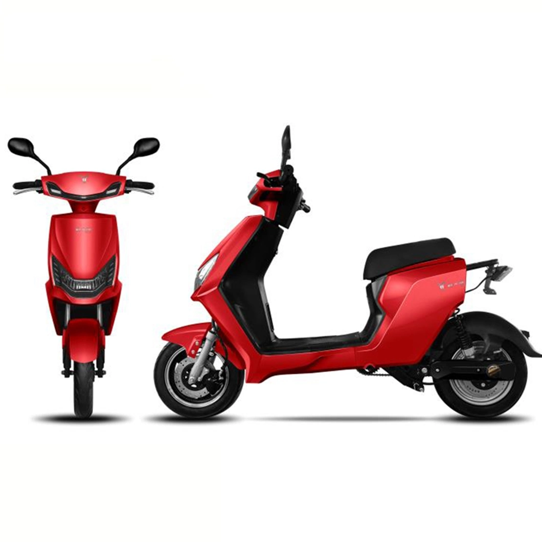 2021 New 350W Electric Moped Motorcycle/Electric Pedal Moped/Best Electric Motorcycle for Adults